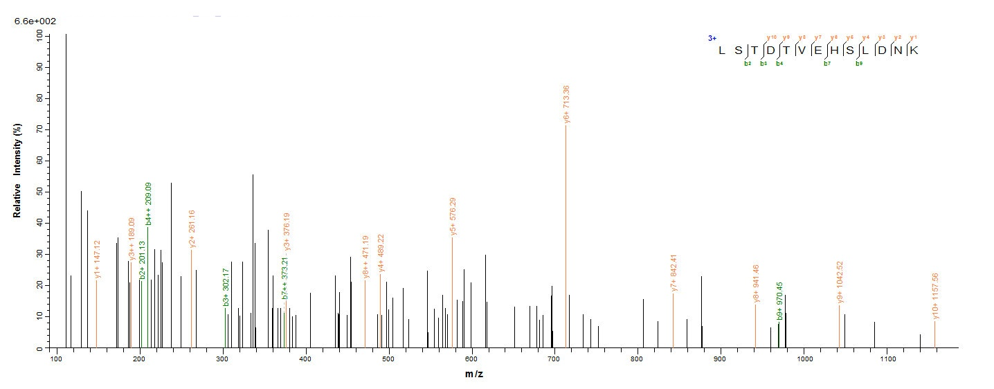 Human CASP2 protein