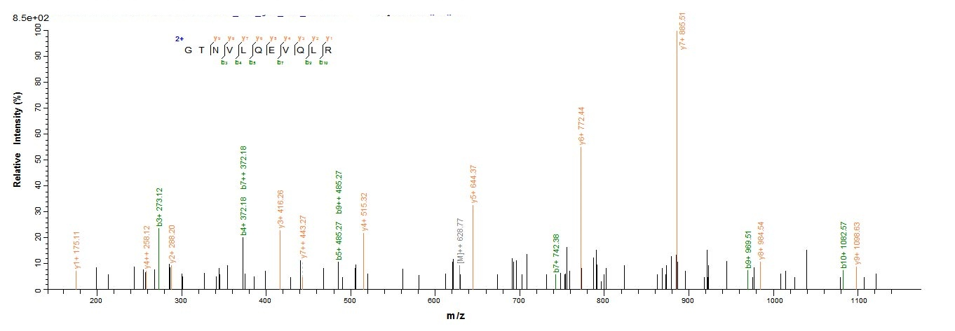 Mouse Cathepsin G protein