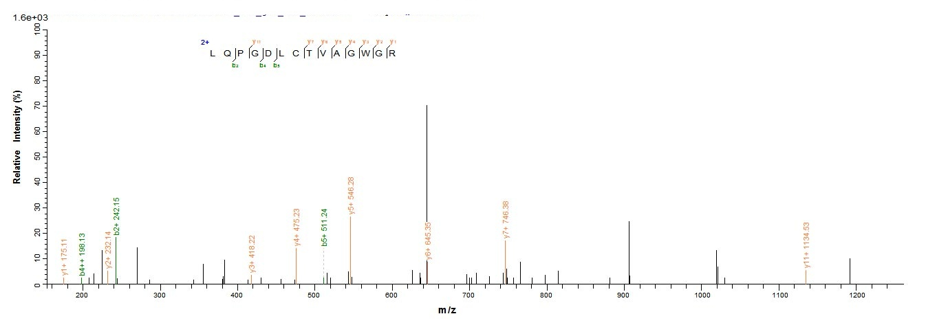 Mouse Cathepsin G protein