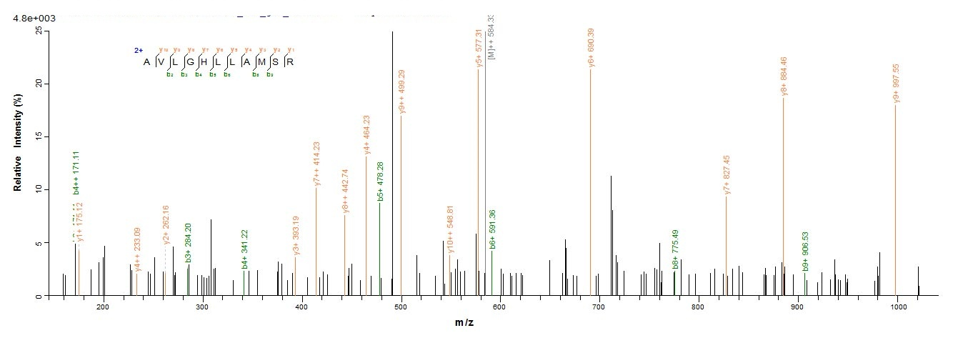 Human FANCC protein