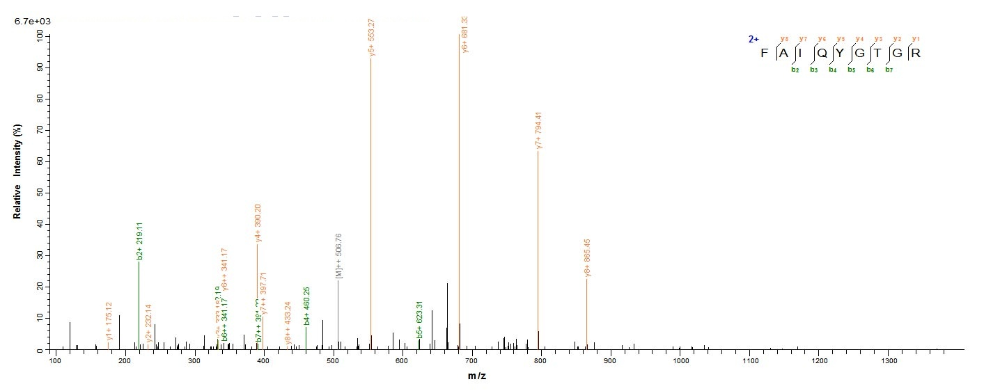 Human NAPSA protein