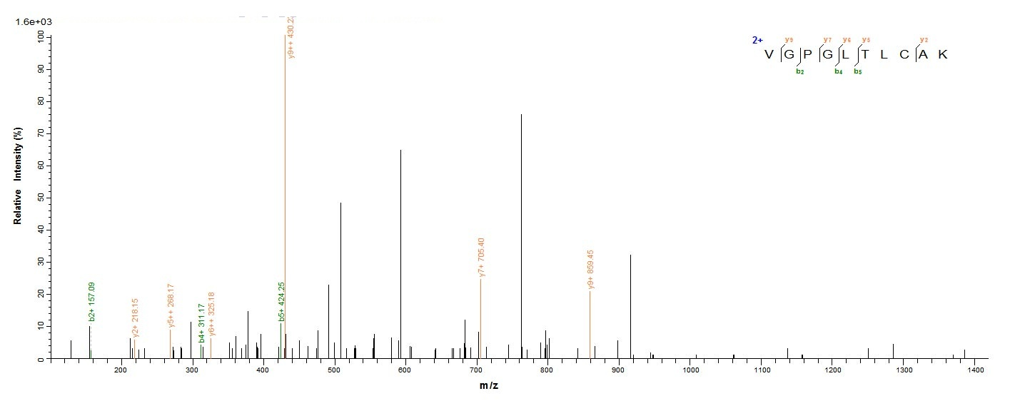 Human NAPSA protein
