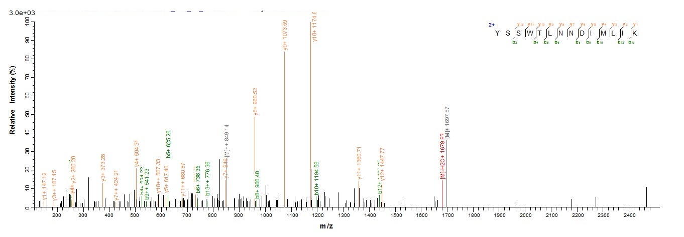 Rat Prss1 protein