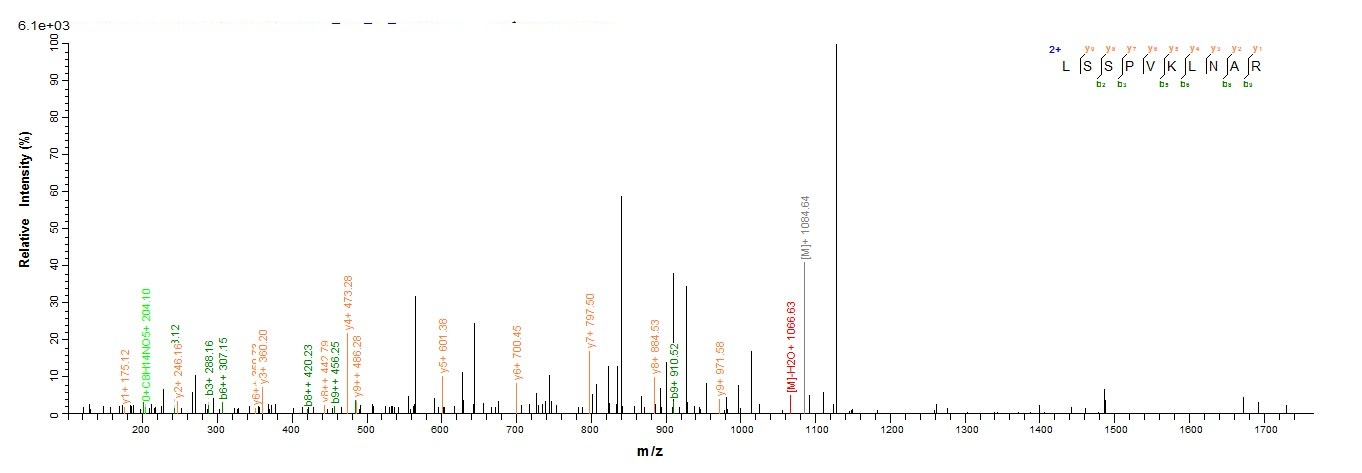 Rat Prss1 protein