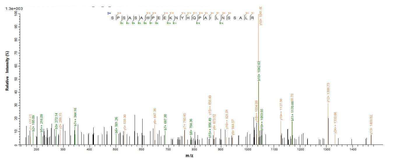 Human QPCT protein