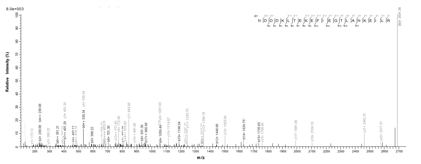 Human RCVRN protein