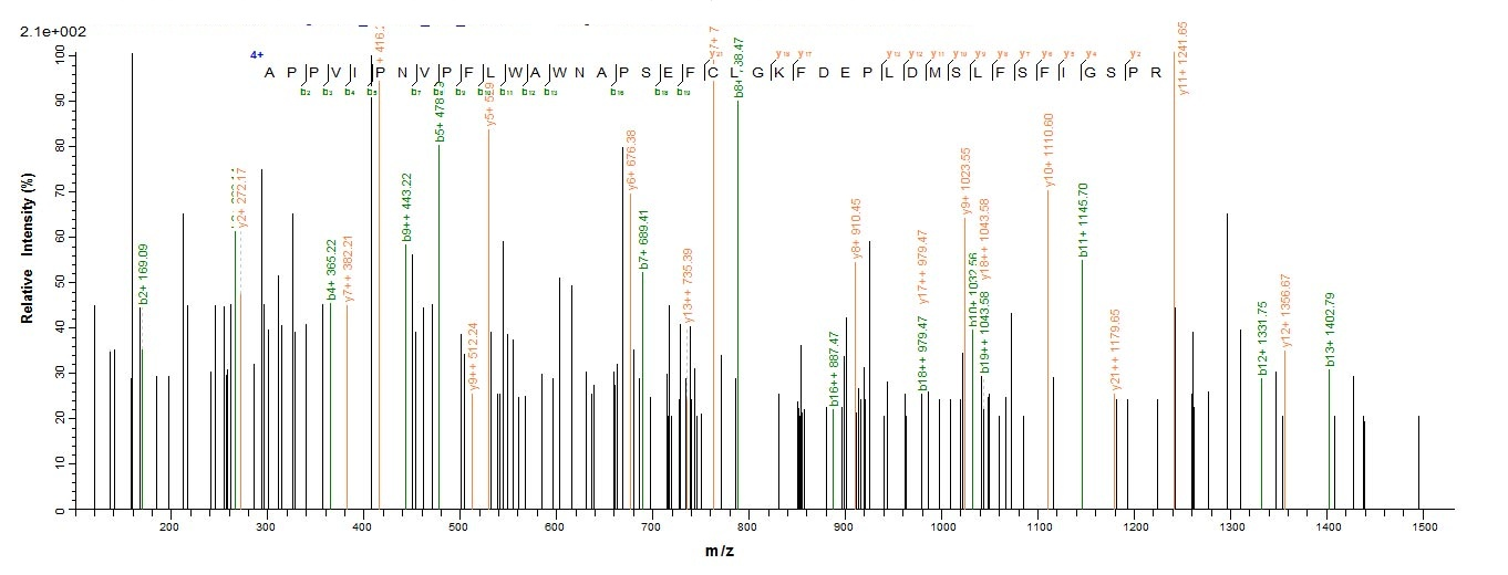 Human SPAM1 protein