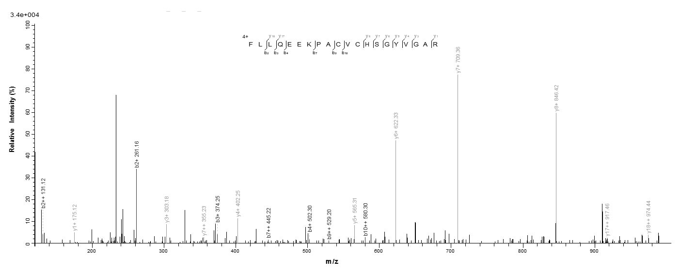 Sheep TGFA protein