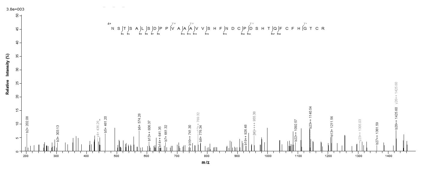 Sheep TGFA protein