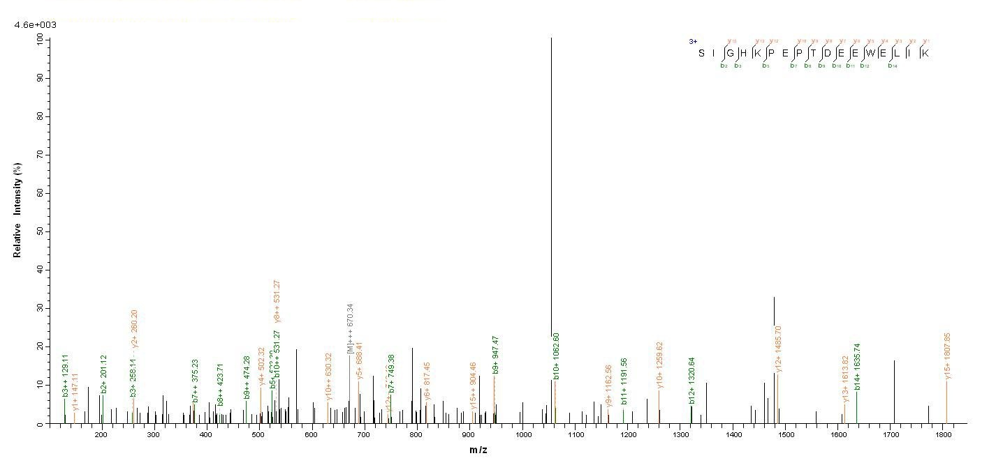 Human THRB protein