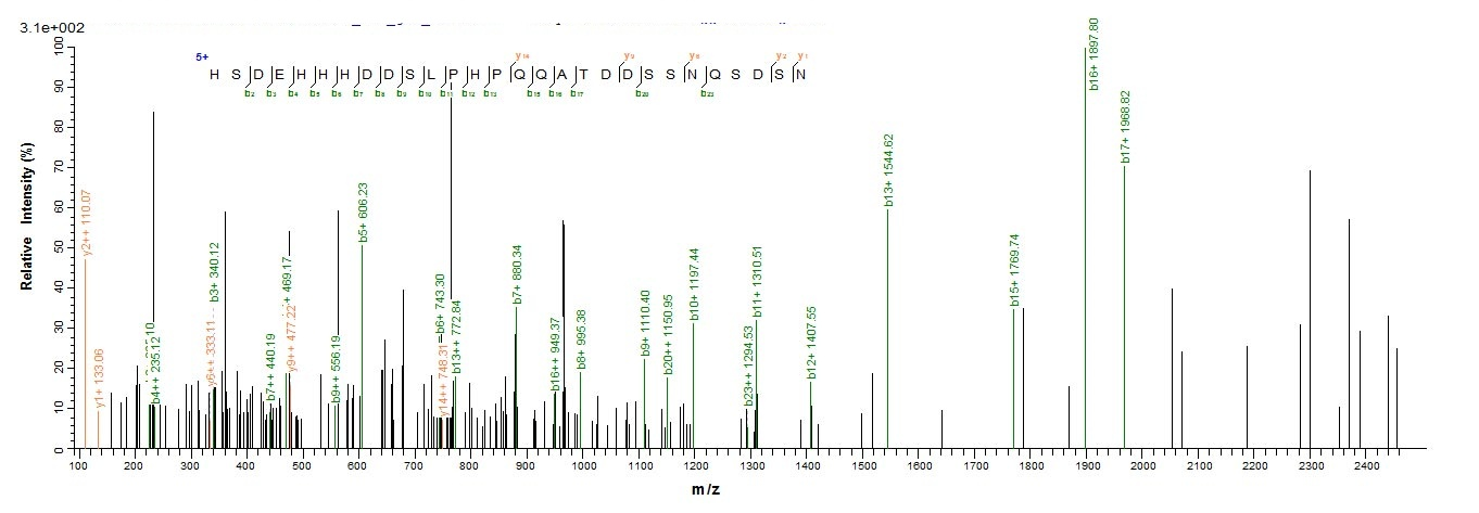 E.coli LMP1 protein