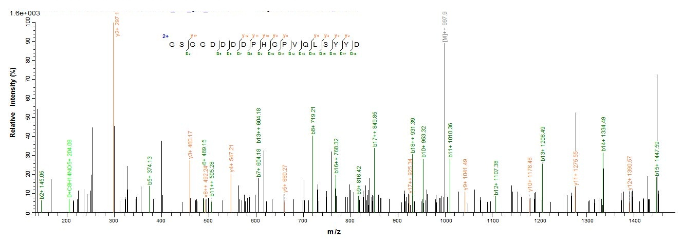E.coli LMP1 protein