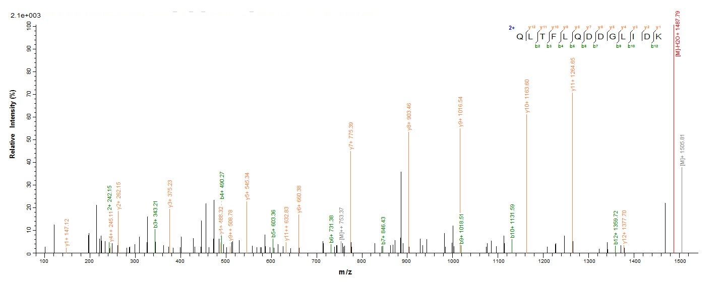 E.coli rsrIM protein