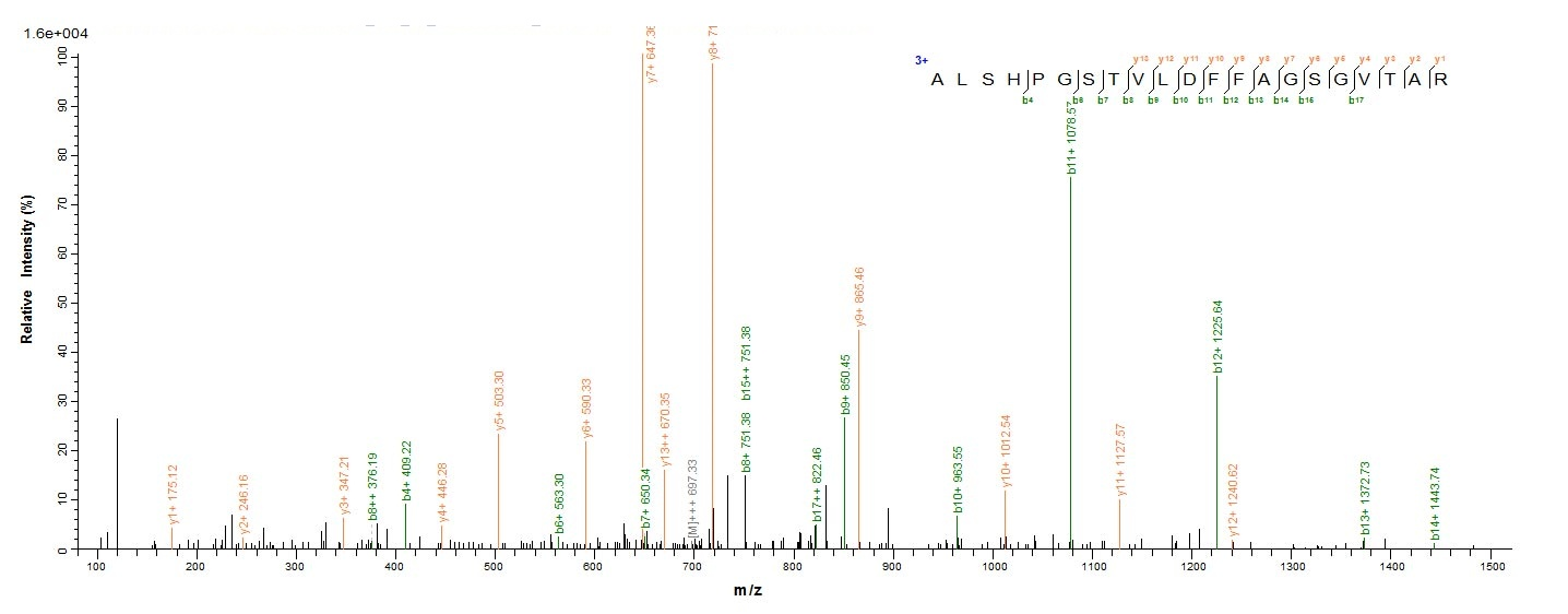 E.coli rsrIM protein