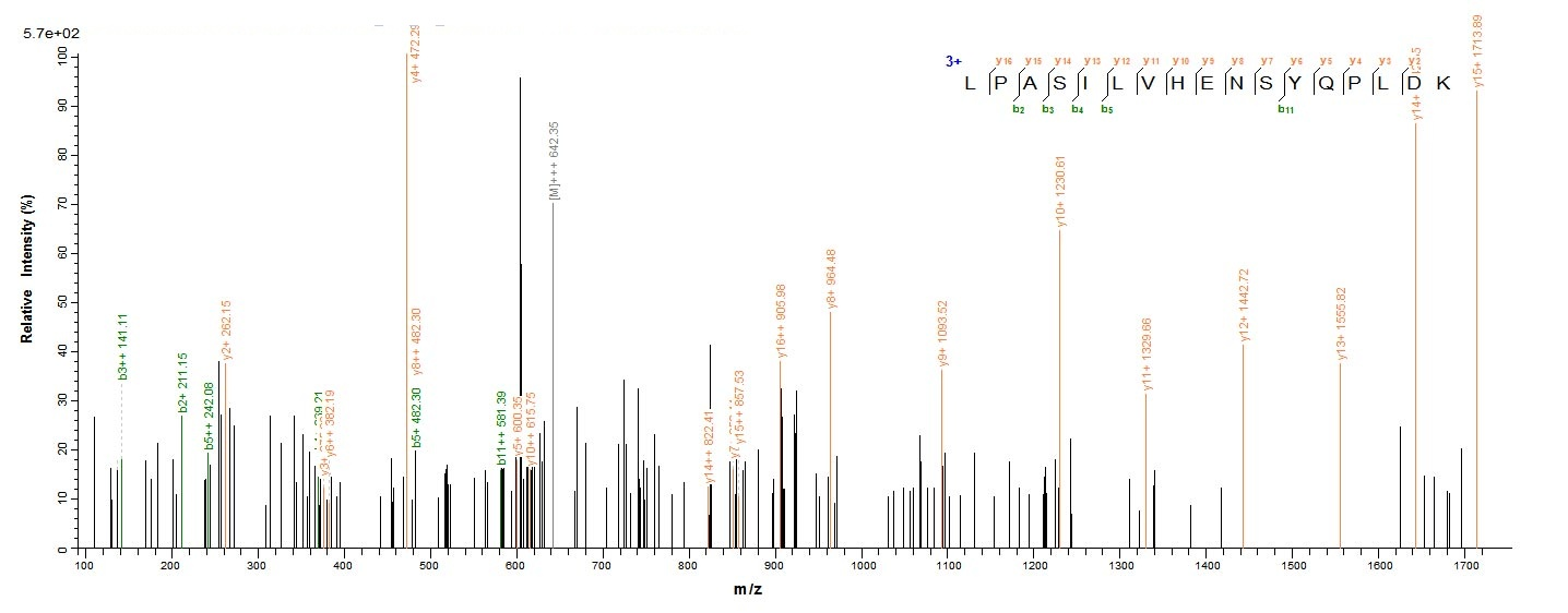 E. coli nfsA protein
