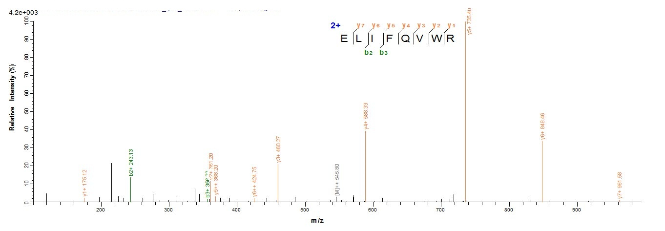 E.coli vpx protein