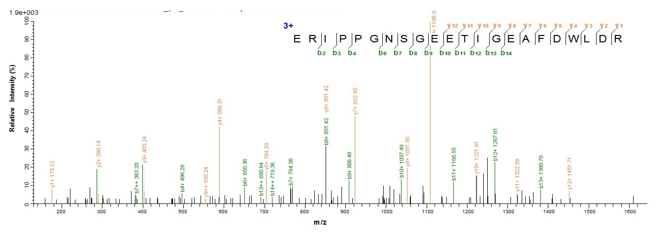 E.coli vpx protein