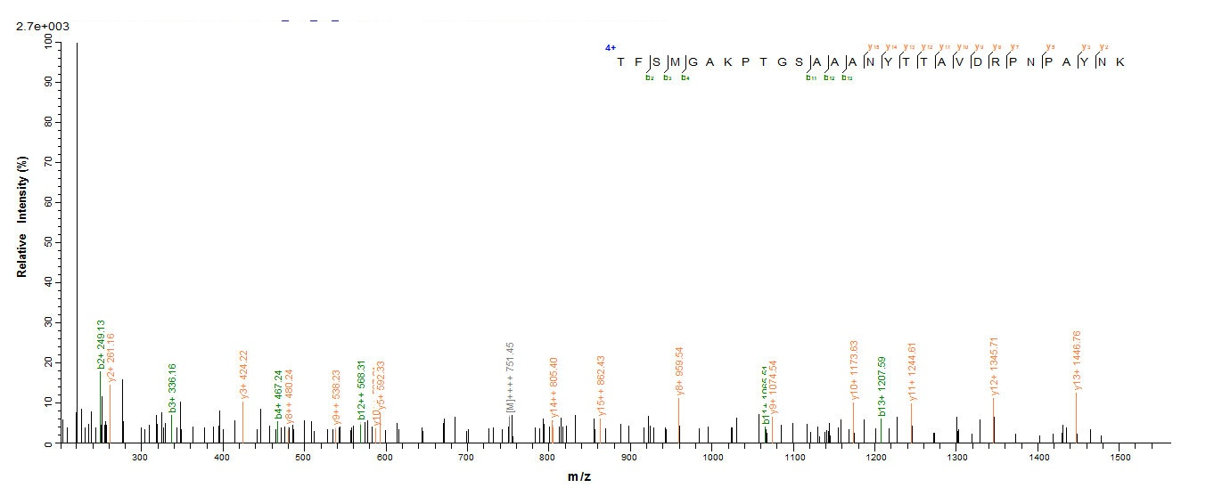 E.coli ompA protein
