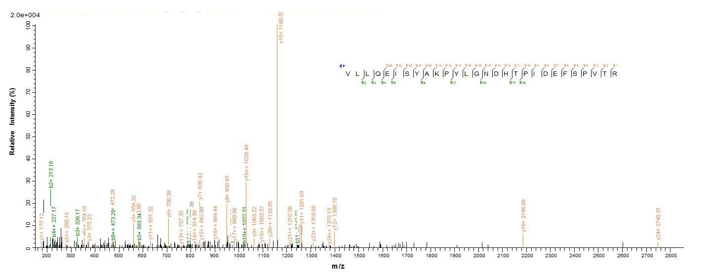E.coli P30996 protein