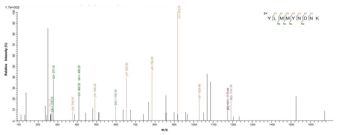 E.coli entC3 protein