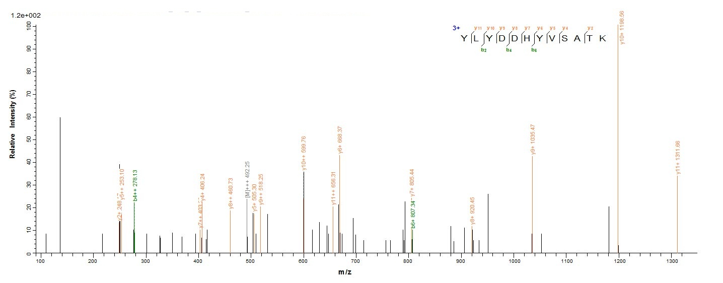 E.coli entC3 protein