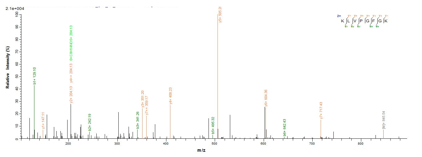Rabies virus Glycoprotein