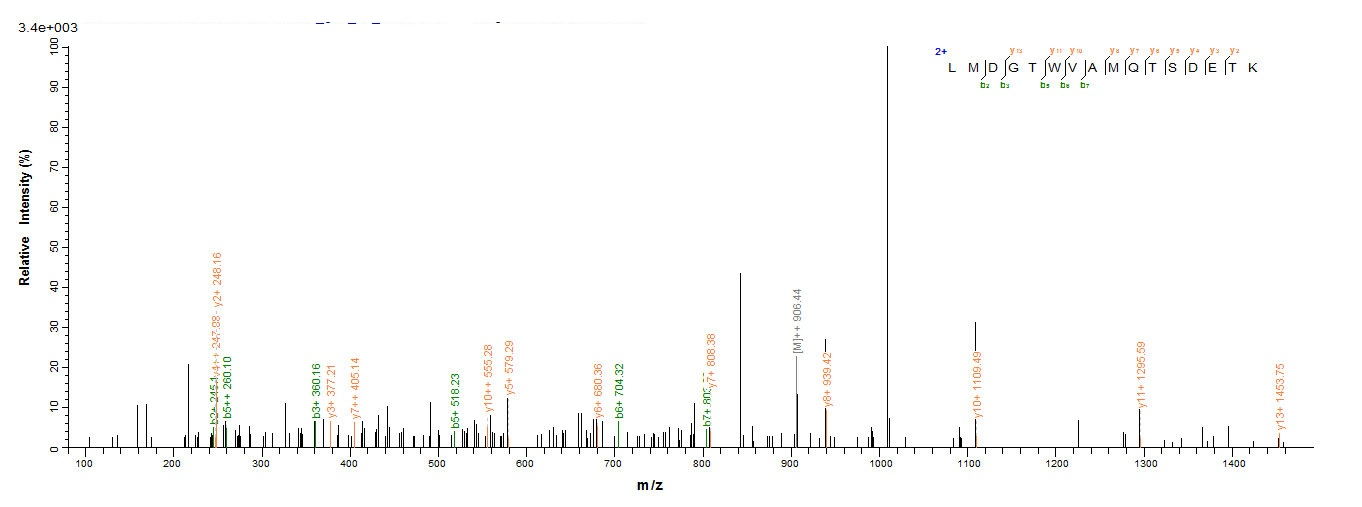 Rabies virus Glycoprotein