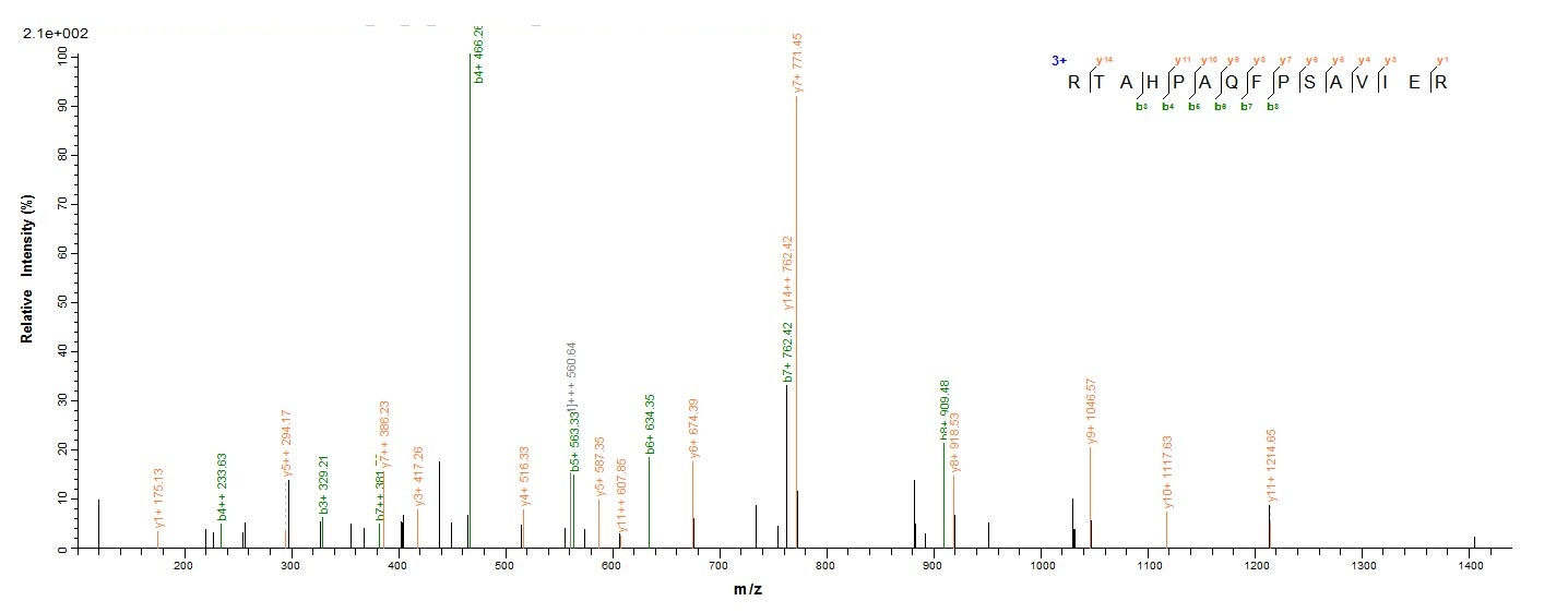 E.coli scaIM protein
