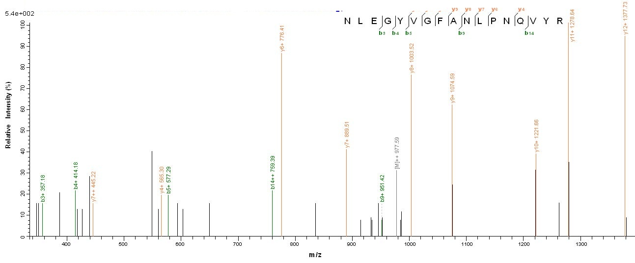 Human human Septin-7 protein