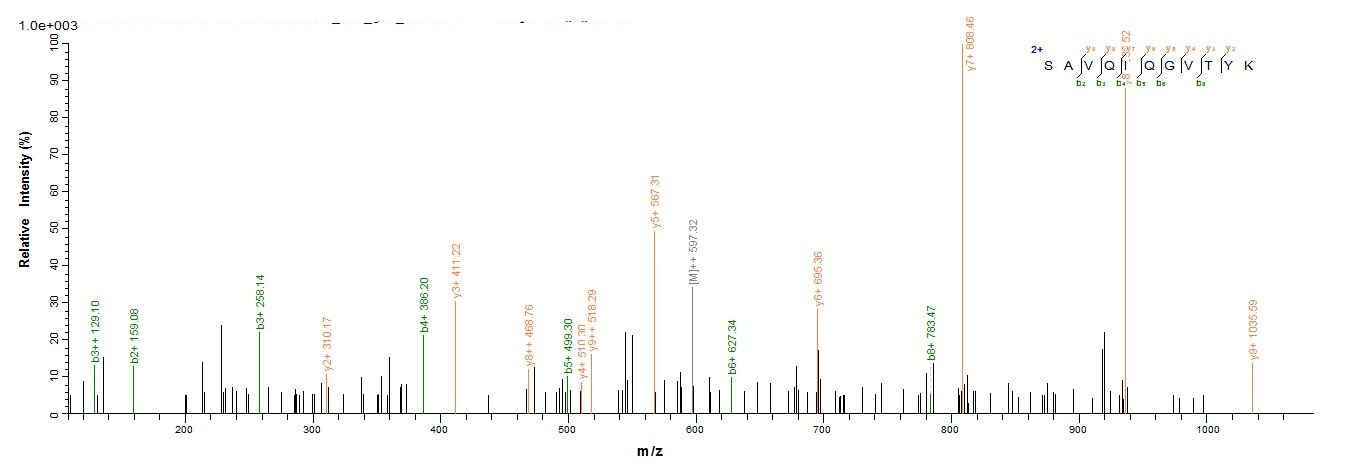 E.coli Polygalacturonase protein
