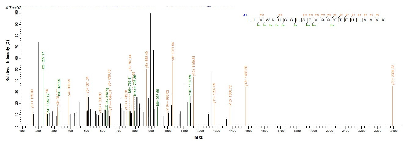 Human FZR1 protein