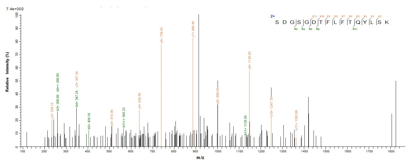 E.coli pstS1 protein