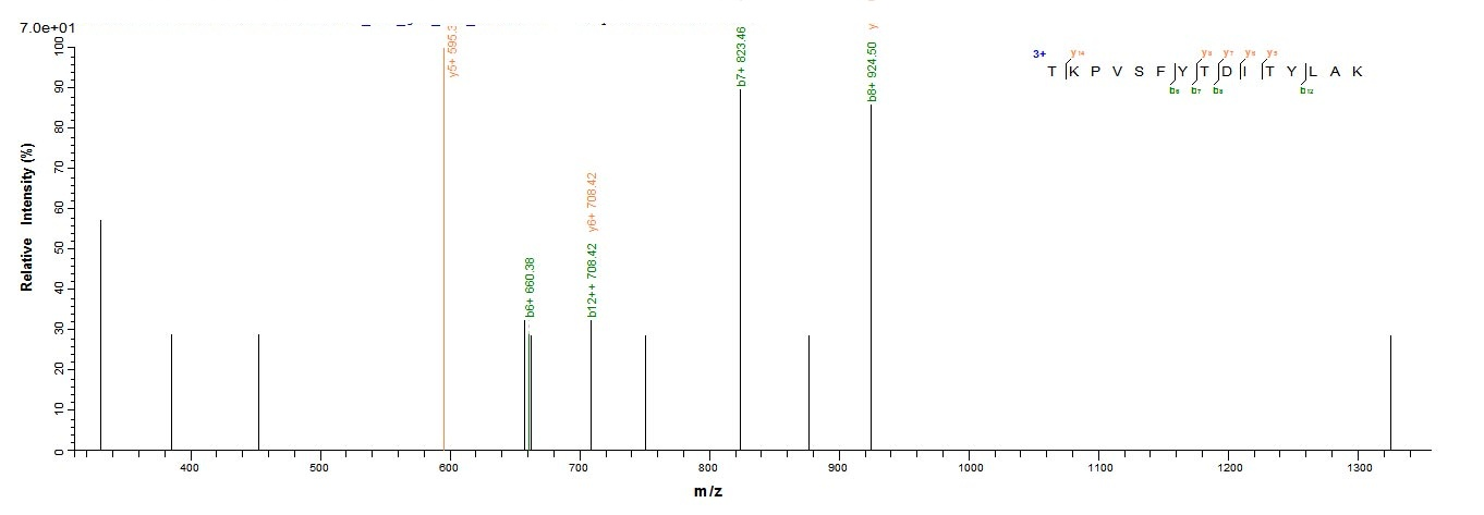 Mouse Agxt protein
