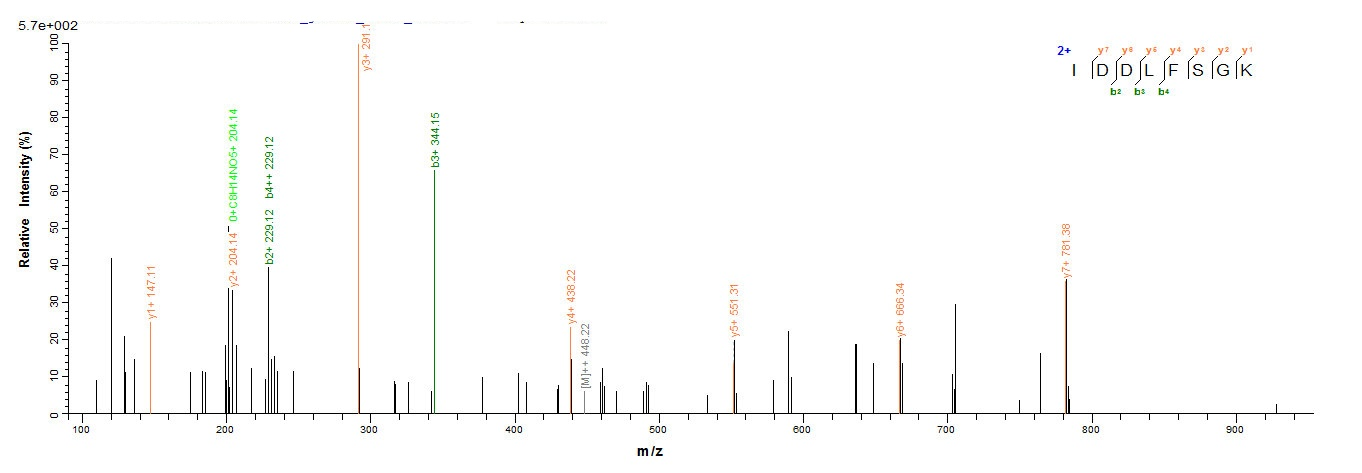 Human CD81 protein
