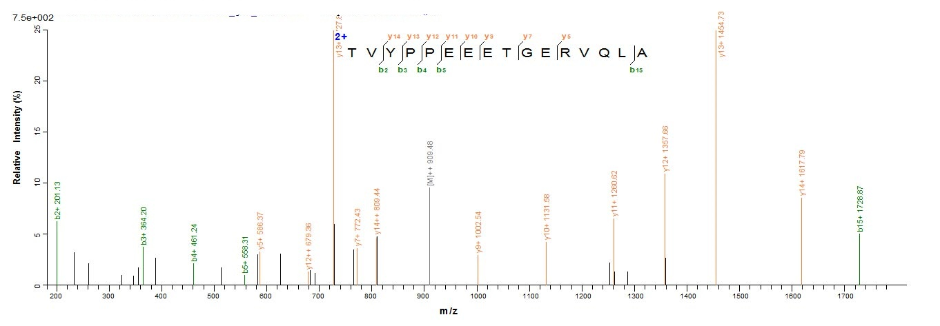 Human GYPA GPA protein