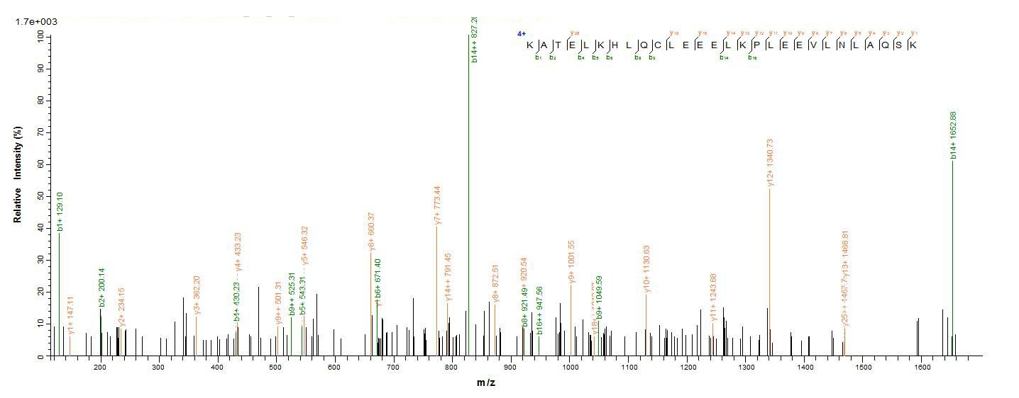 Human IL2 protein
