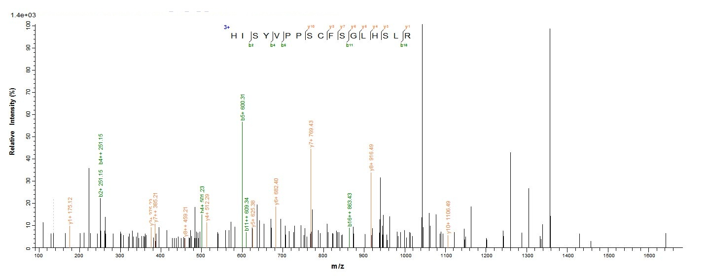 Human LGR5 protein