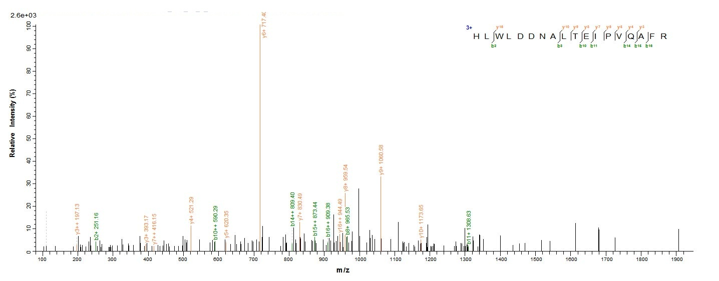 Human LGR5 protein