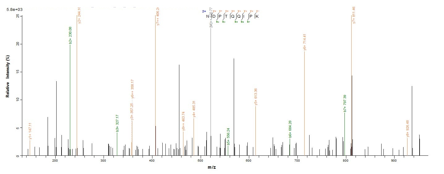 Yeast fbpB protein
