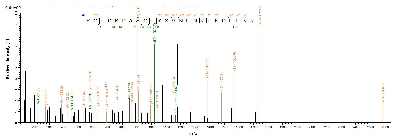 Yeast neurotoxin type E protein
