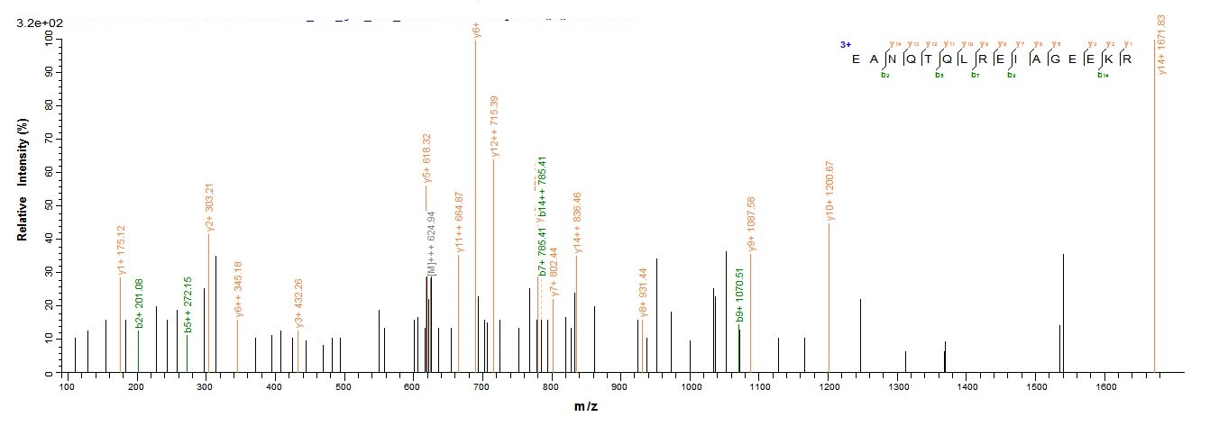 Human COL6A6 protein