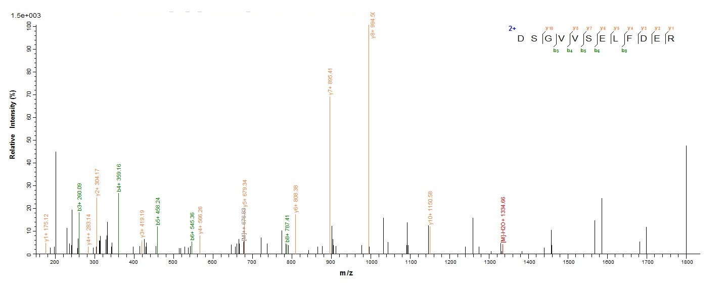 Human ppsA protein