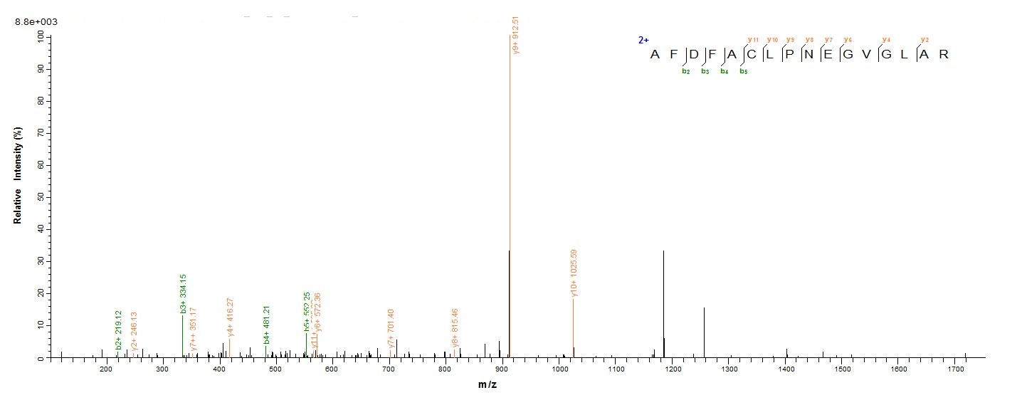 Human ppsA protein
