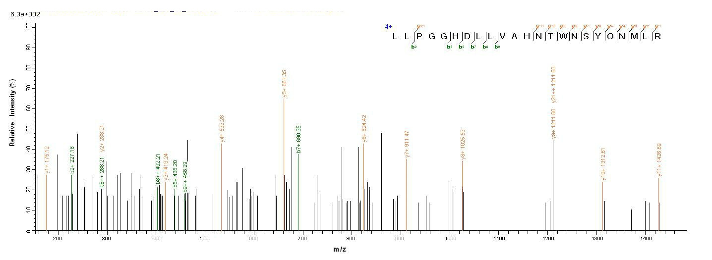 Mouse Plbd2 protein