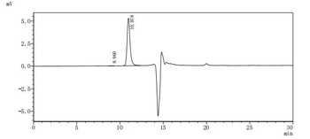 GPR20 Antibody
