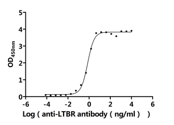 LTBR Antibody