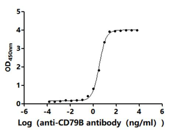 CD79B Antibody