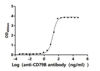 CD79B Antibody