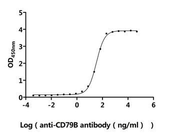 CD79B Antibody