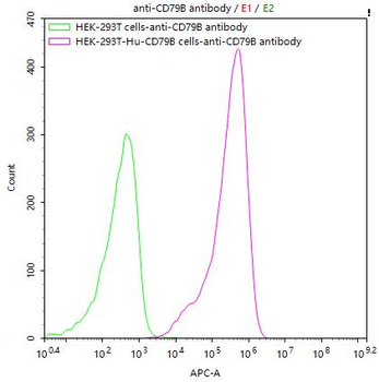 CD79B Antibody